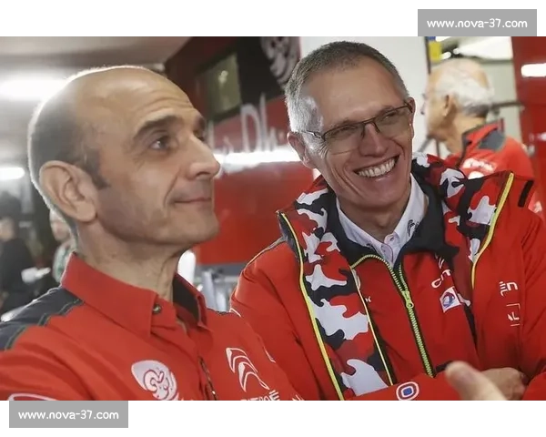 全国犬类赛事盛况：各地犬种角逐冠亚军，谁将问鼎冠军宝座