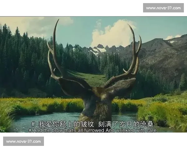 全球最残酷杀人比赛电影盘点看完让人背后发凉的生存对决故事合集 全球最残酷杀人比赛电影盘点看完让人背后发凉的生存对决故事合集