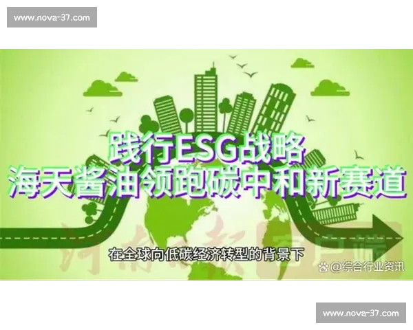 企业远程办公转型之路：如何实现高效协作与创新驱动的持续发展